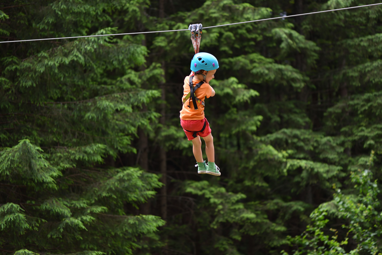 Zip Line